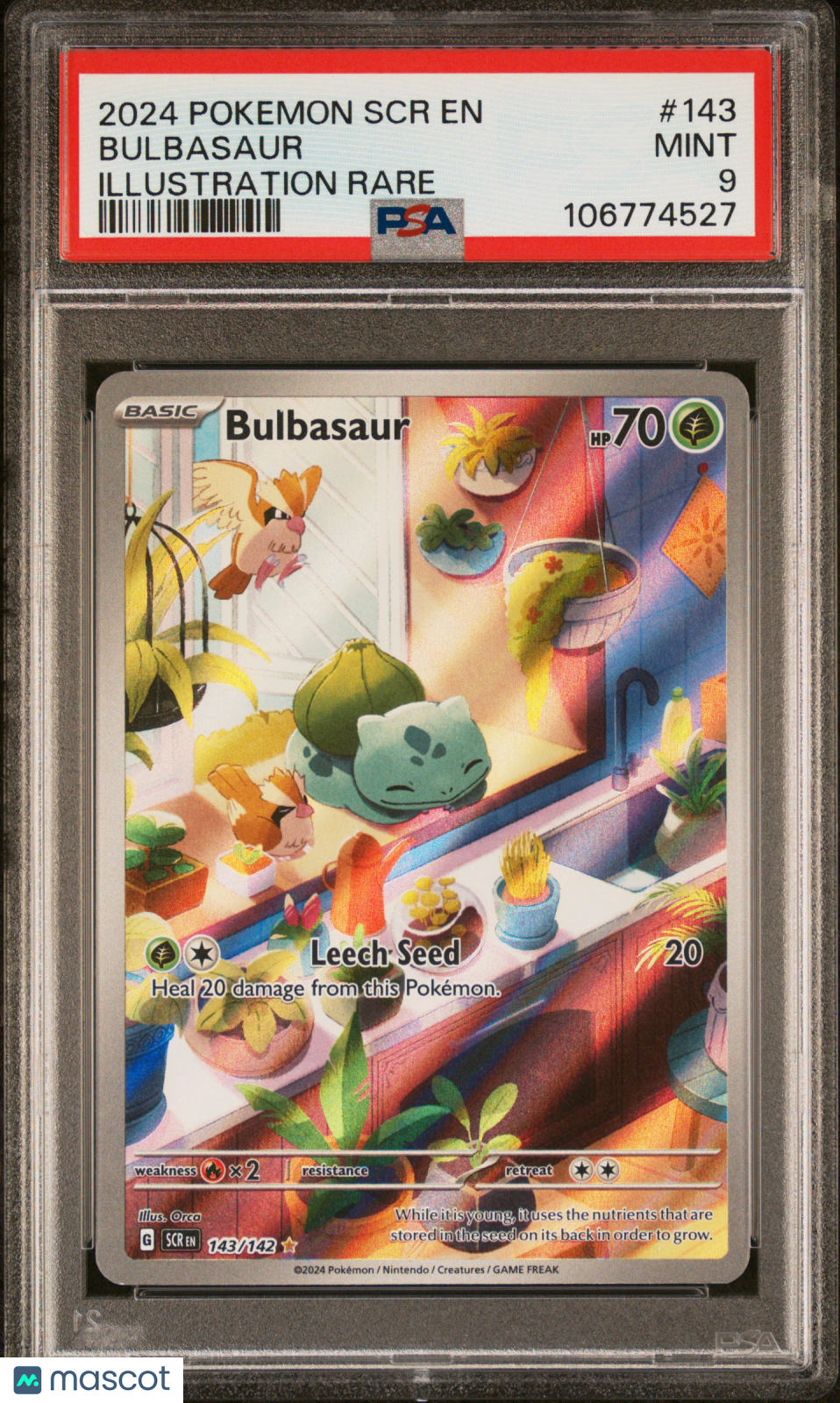 BULBASAUR 2024 Pokemon S&V Stellar Crown #143 Illustration Rare PSA 9